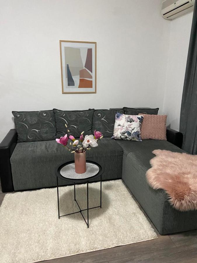 Apartman Aleksic Jagodina Exterior foto